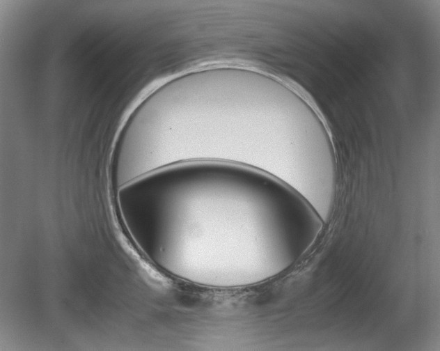 X0000080141005200612081021