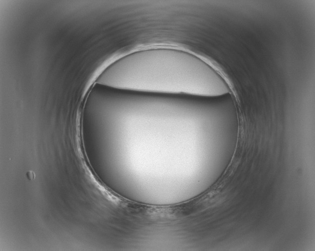 X0000080141006200612081021