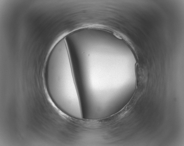 X0000080141007200612081021