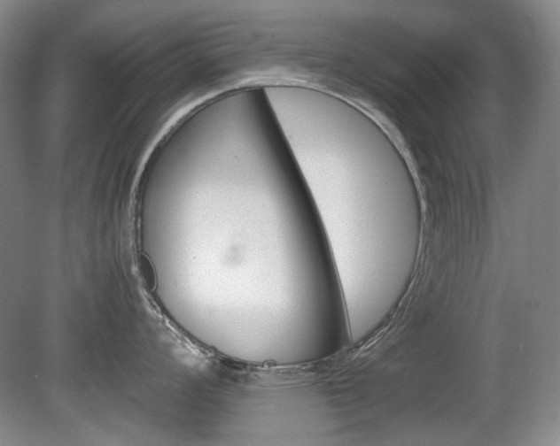 X0000080141008200612081021