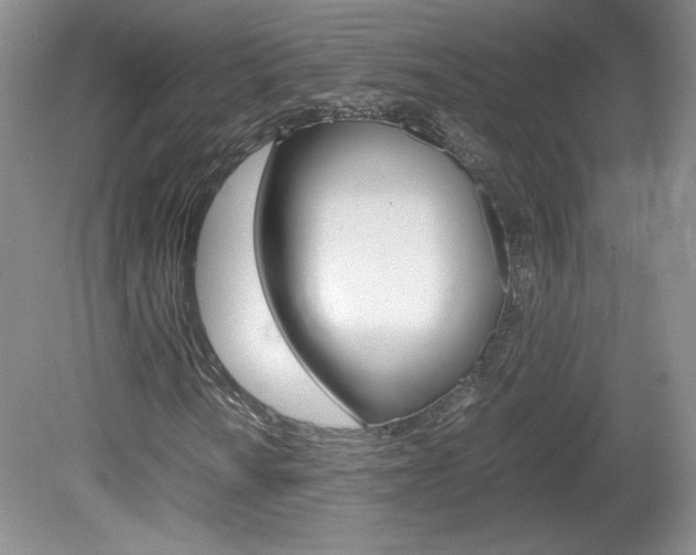 X0000080141010200612081021