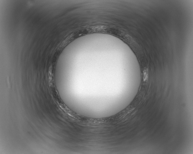 X0000080141011200612081021