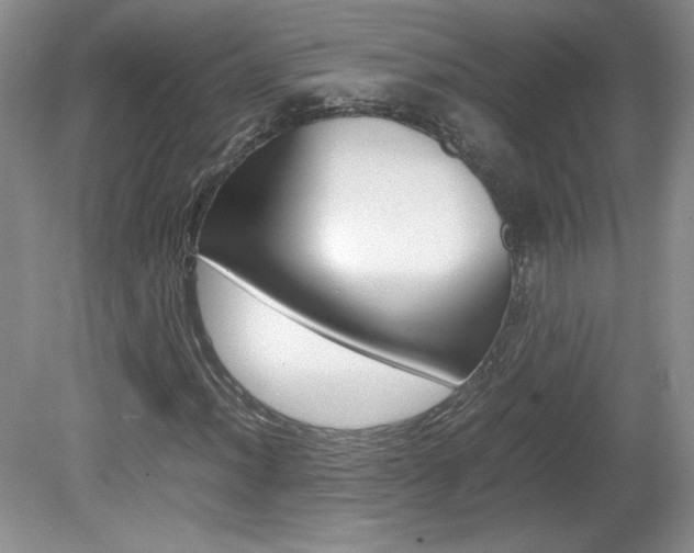 X0000080141012200612081021