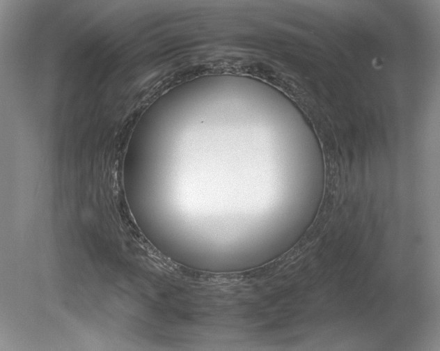 X0000080141013200612081021