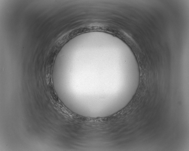X0000080141015200612081021