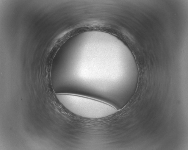X0000080141016200612081021