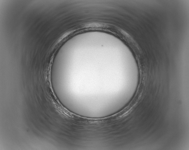 X0000080141017200612081021