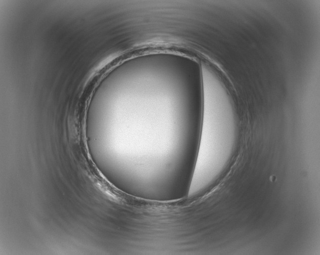 X0000080141018200612081021