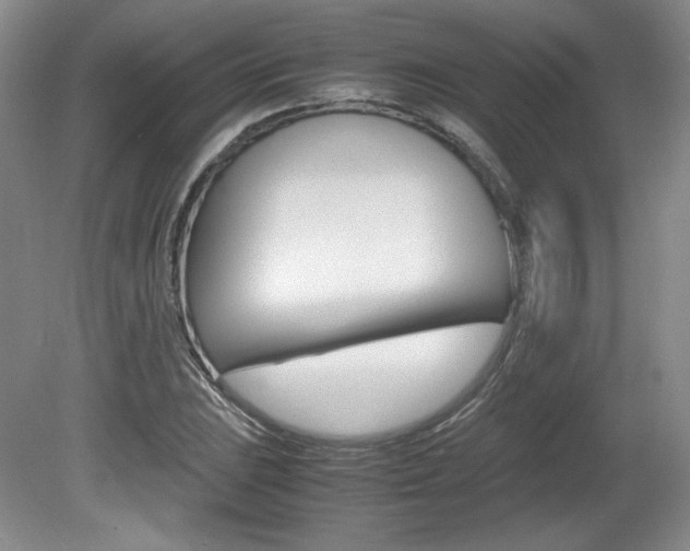 X0000080141023200612081021