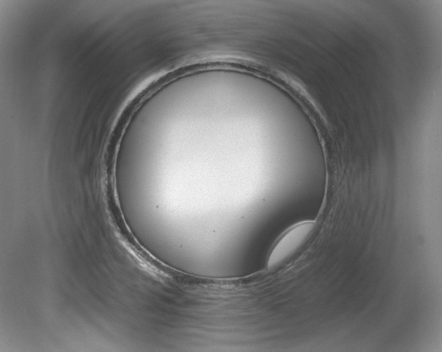 X0000080141024200612081021