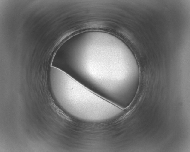 X0000080141025200612081021