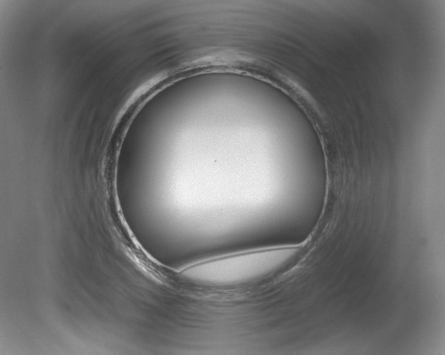 X0000080141026200612081021