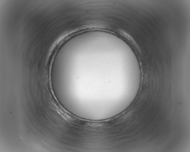 X0000080141027200612081021