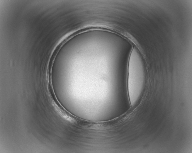 X0000080141028200612081021