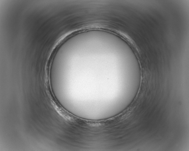 X0000080141031200612081021