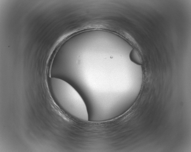 X0000080141035200612081021
