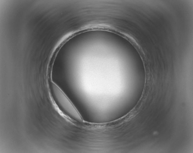 X0000080141038200612081021