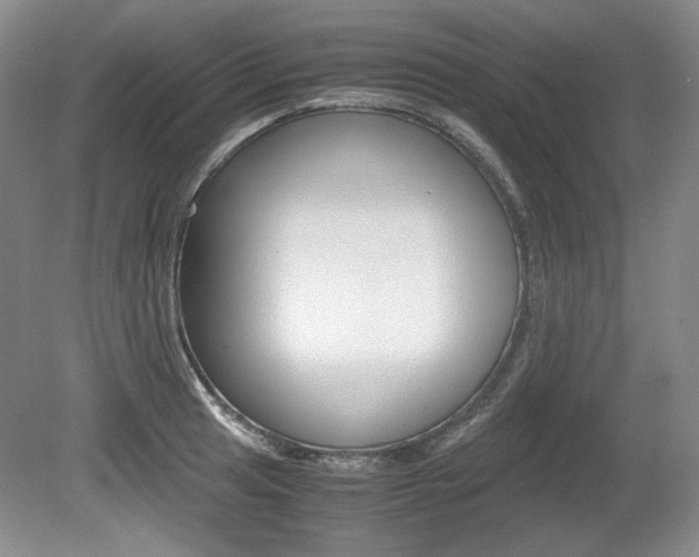 X0000080141041200612081021
