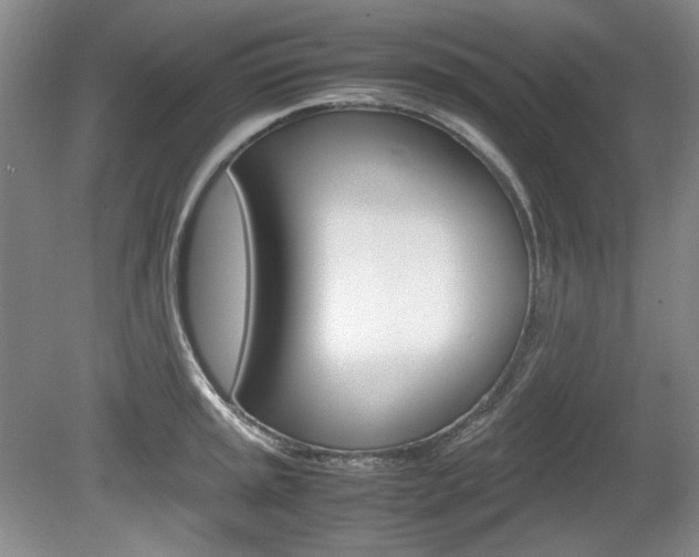 X0000080141045200612081021