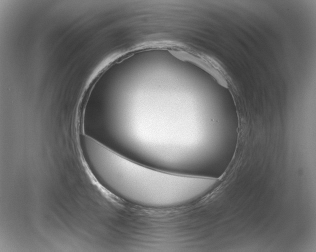 X0000080141046200612081021