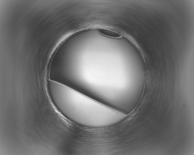 X0000080141048200612081021