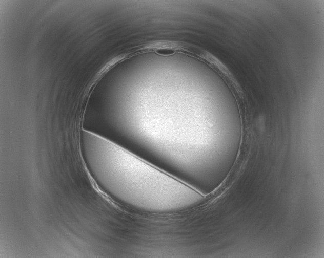 X0000080141049200612081021