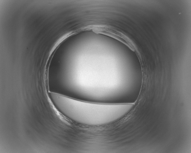 X0000080141050200612081021