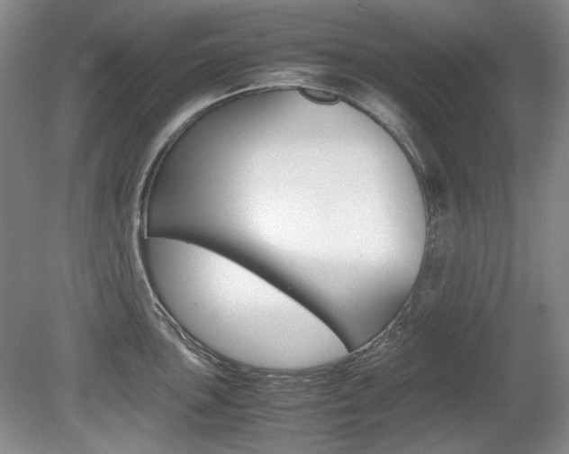 X0000080141051200612081021