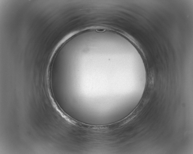 X0000080141053200612081021