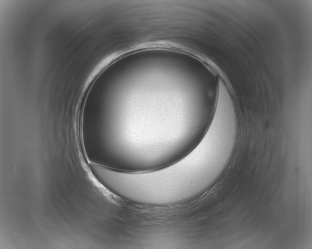 X0000080141054200612081021
