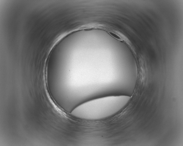 X0000080141055200612081021