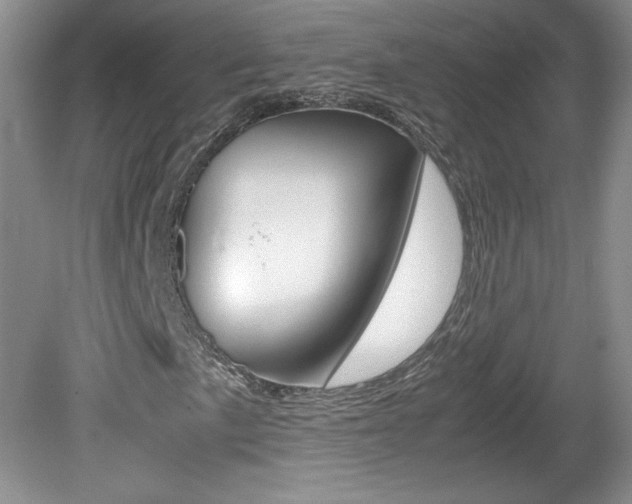 X0000080141057200612081020