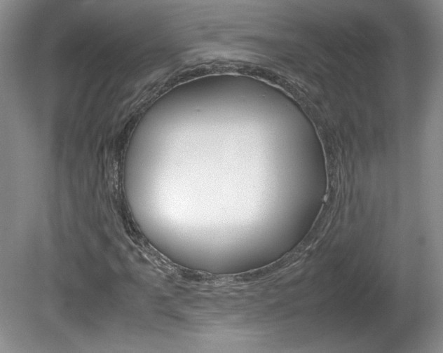 X0000080141061200612081020
