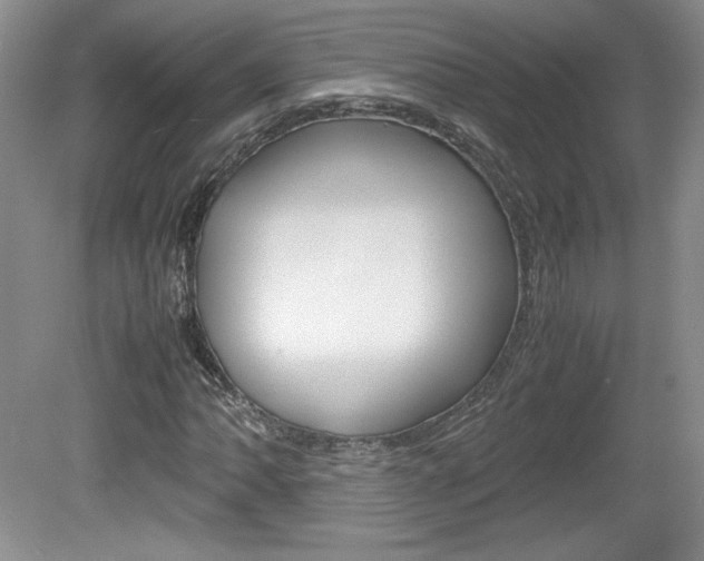 X0000080141062200612081020
