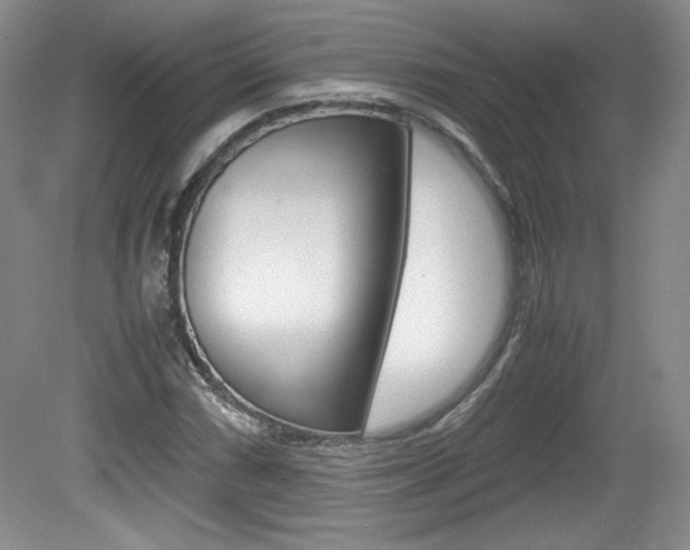 X0000080141066200612081020
