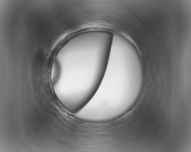 X0000080141067200612081020