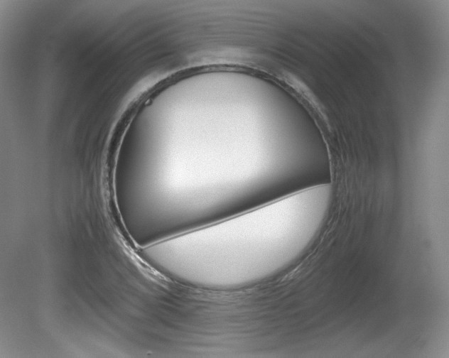 X0000080141072200612081020