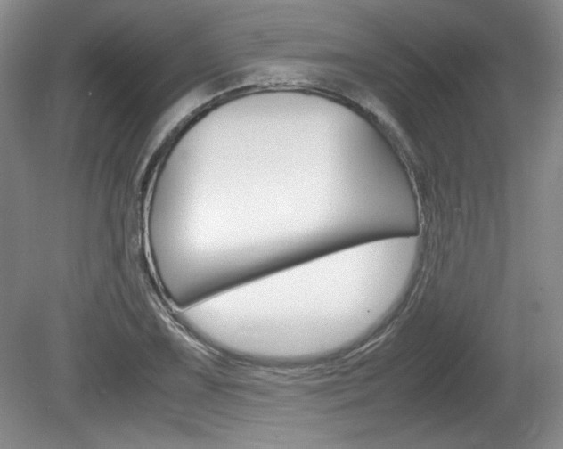 X0000080141075200612081020