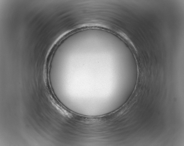 X0000080141076200612081020