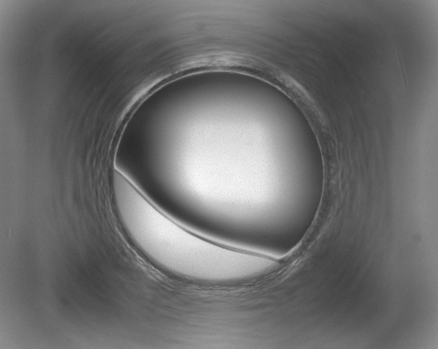 X0000080141081200612081020