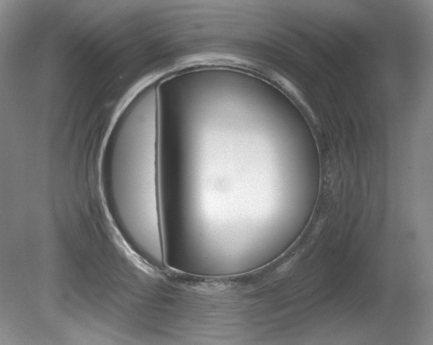 X0000080141082200612081020