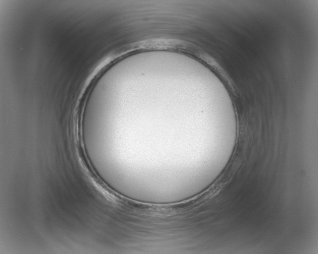X0000080141083200612081020