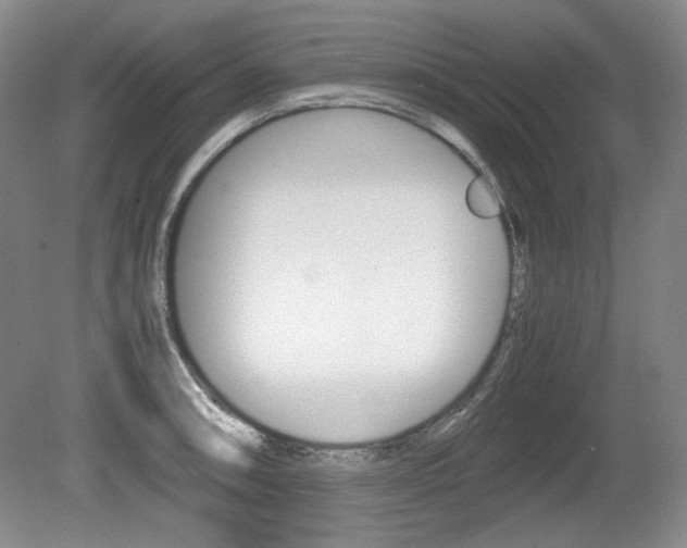 X0000080141090200612081020