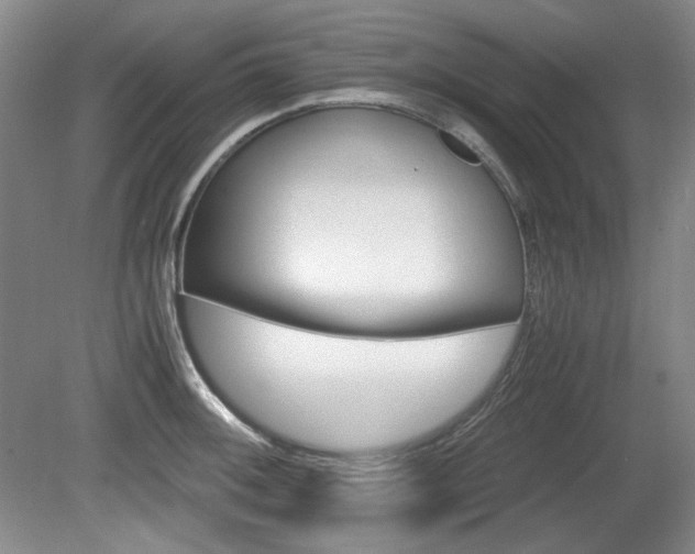 X0000080141092200612081020