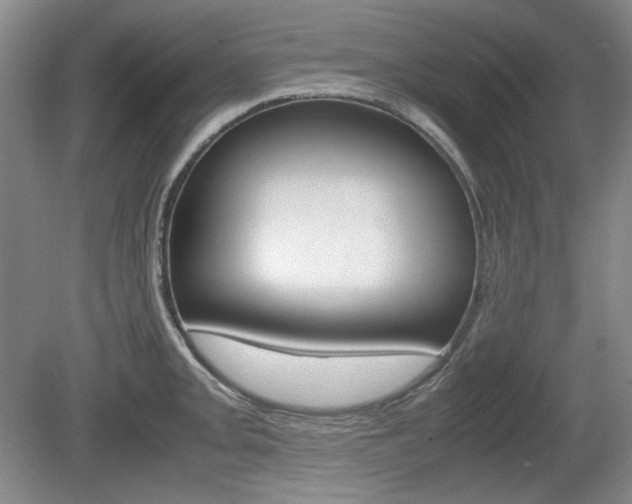 X0000080141093200612081020