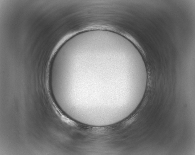 X0000080141094200612081020