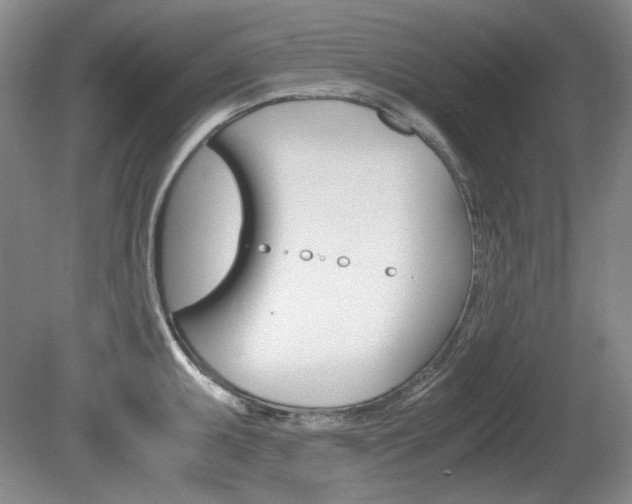 X0000080141095200612081020