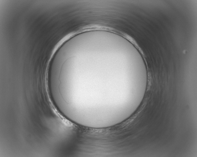 X0000080141098200612081020