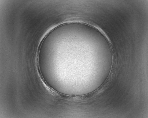 X0000080141101200612081020