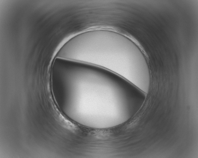 X0000080141102200612081020